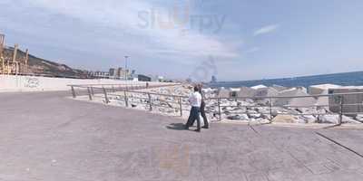 Terminal D Palacruceros