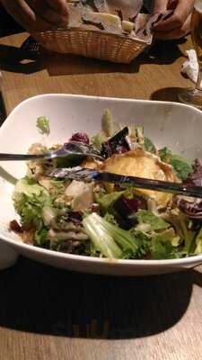 El Perro Sports Bar Diagonal Mar