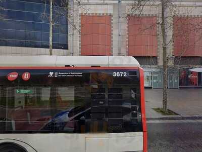 El Perro Sports Bar Diagonal Mar