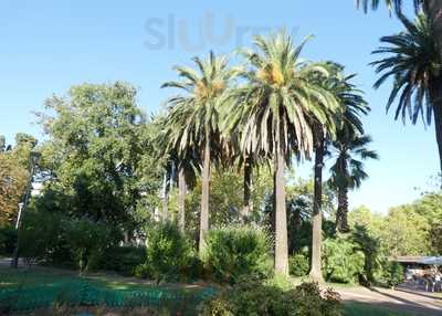 Chiringuito Villa Amelia