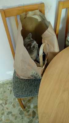 Venta Las Maravillas