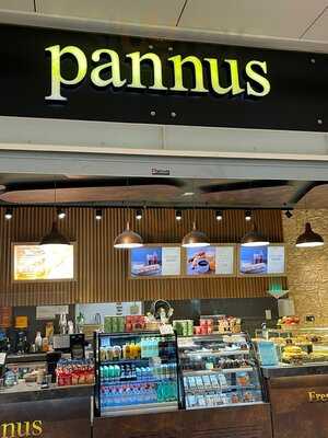Pannus