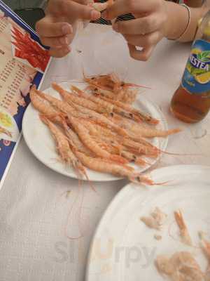 La Fri De Poli Centro