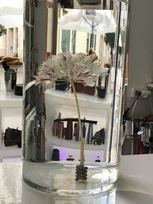 Capital Bar Cocktails