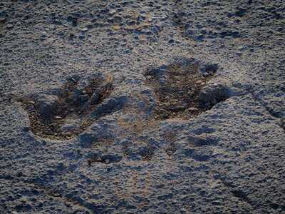 El Paraiso Del Canuelo