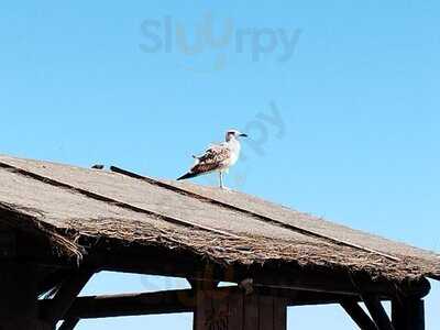 La Malagueta Beach Bar
