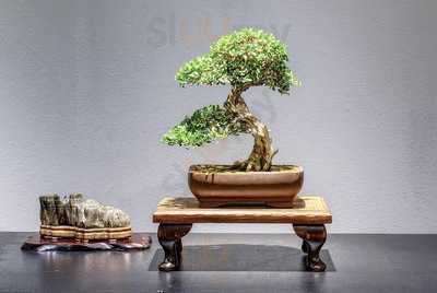 Bonsai