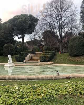 Cafe Restaurant Dhub