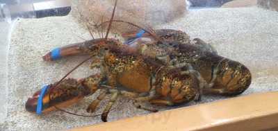 Punt De Trobada La Farinera