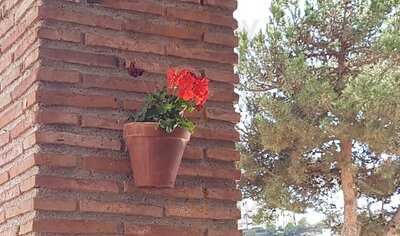 La Bodega Tapas & Grill