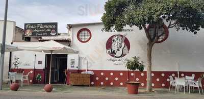 Pena Flamenca Los Amigos Del Arte