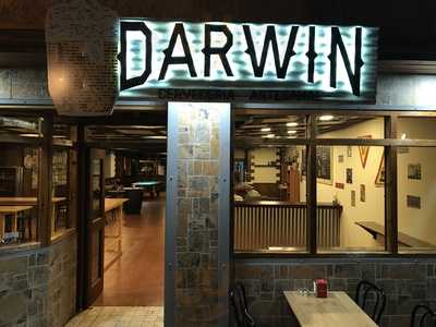 Darwin Craft Beer