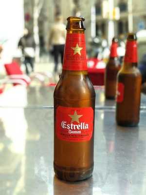 Menta Fresa Chocolate