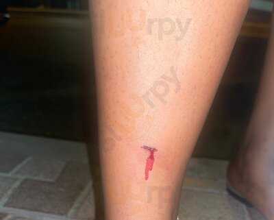 Restaurante Chino Pekin