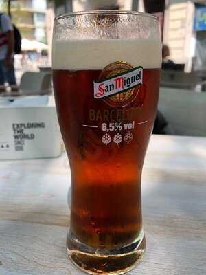 Winchester Barcelona