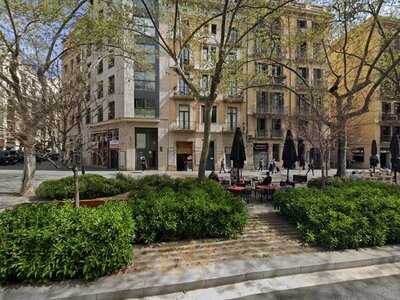 Winchester Barcelona