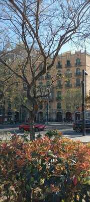 Bar Restaurant Coto Alto