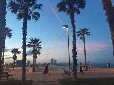 Segafredo Espresso Barcelona