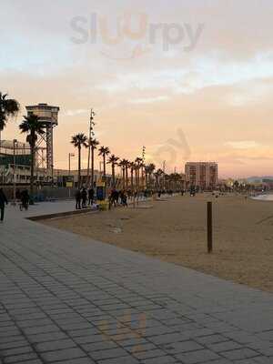 Segafredo Espresso Barcelona