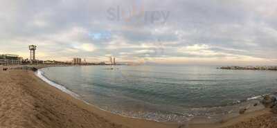 Segafredo Espresso Barcelona