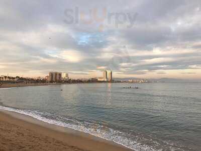 Segafredo Espresso Barcelona