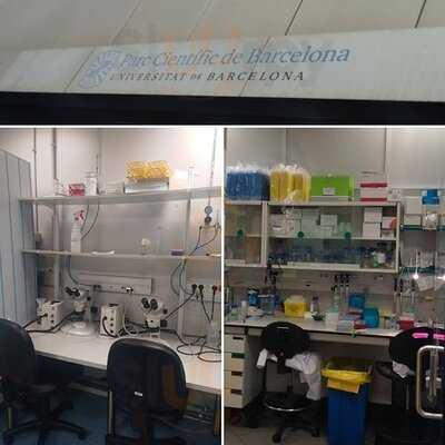 Sternalia Productions