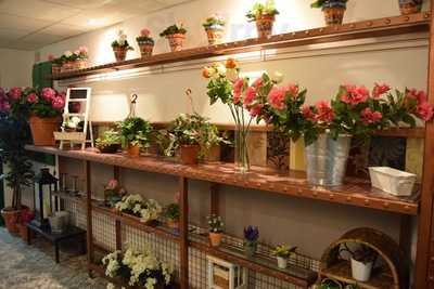 Tablao Flamenco La Singla