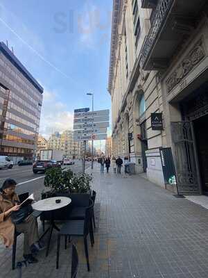 Starbucks Room Mate Anna