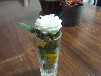 Cafe Chaplin Forn Artesa