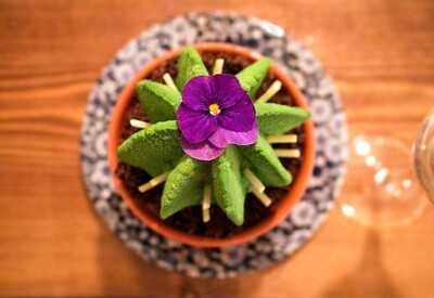 Restaurant De Estape De Infante