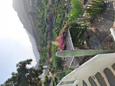 Valle De Mogán Restaurante