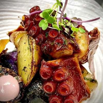 La Incidència Del Factor Vi