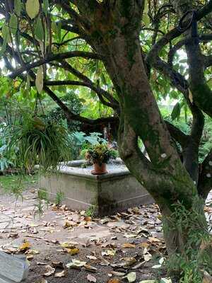 Cafe-jardin Costa Vella