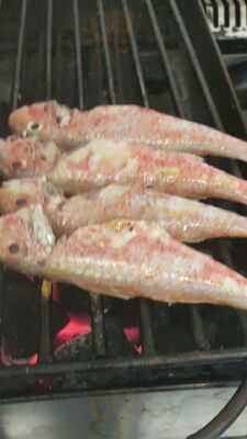 Bocaito Andalusí Halal