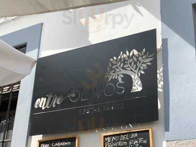 Entre Olivos