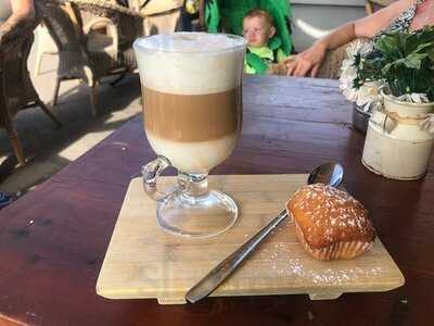 Iguana Cocktails & Food