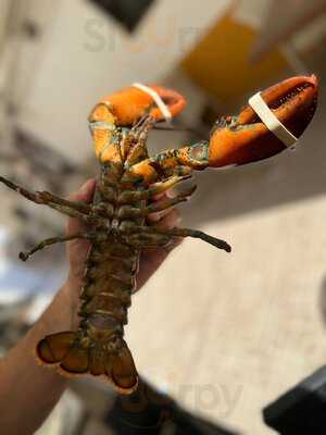 La Caracola - Photo 8