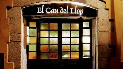 Vadevins - El Cau Del Llop