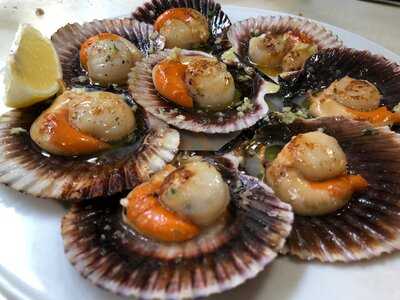 Restaurant El Hogar Del Pollo