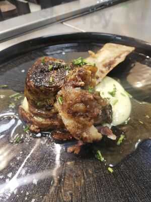 Agar Agar Food & Design