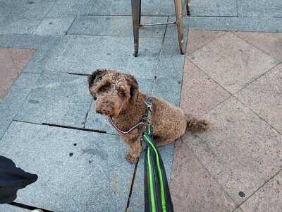 Restaurante Pizzeria Roma