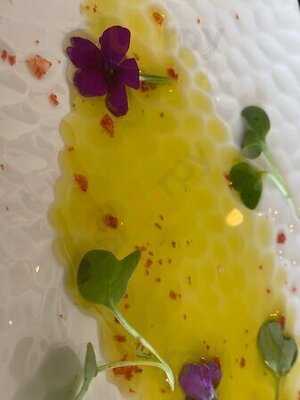 Velequile Gastromania