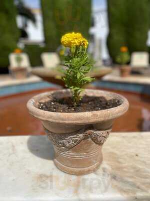 Restaurante Parador De Mérida