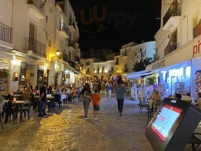 Pino Ibiza