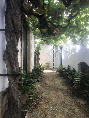 Bodega Gonzalez Byass