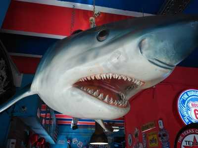 Barba-rossa Beach Bar Granollers