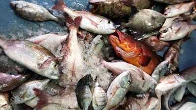 Restaurante Cocina Del Puerto