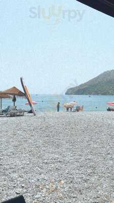 Chiringuito La Gaviota