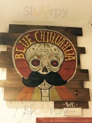 Cantina Blue Chihuahua