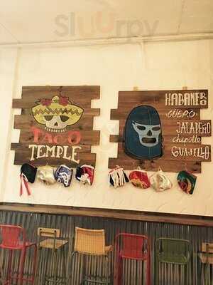 Cantina Blue Chihuahua